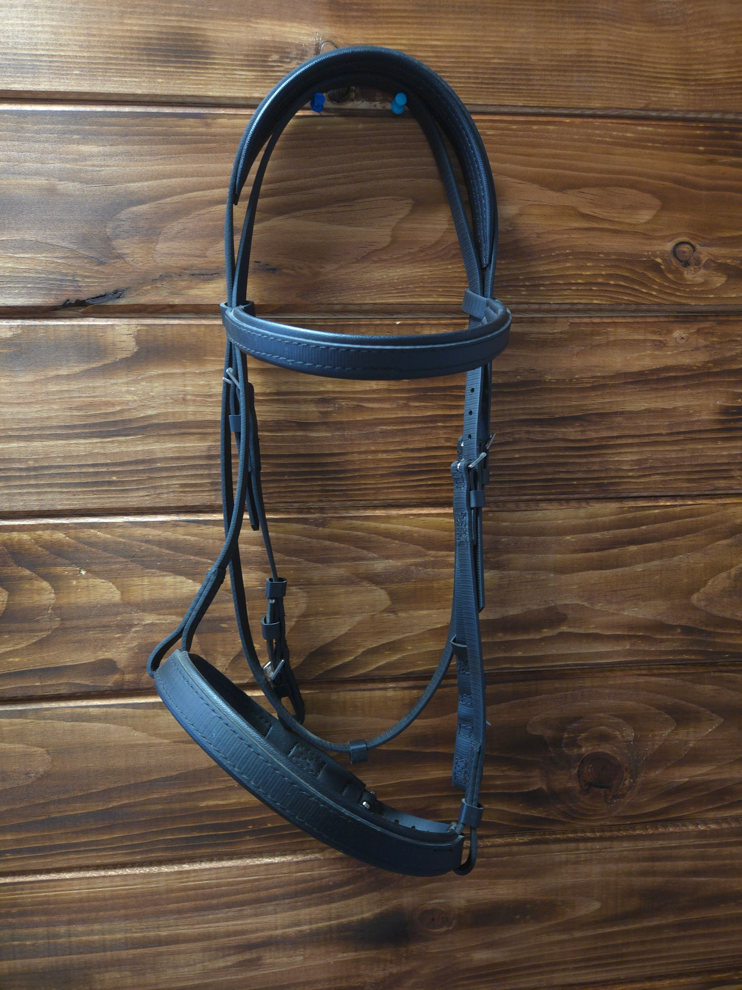 Used Wintec English Bridle