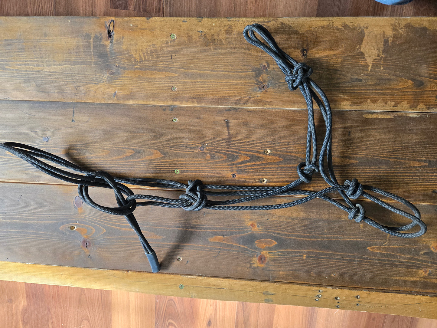 Used | Rope Halter| Good Condition