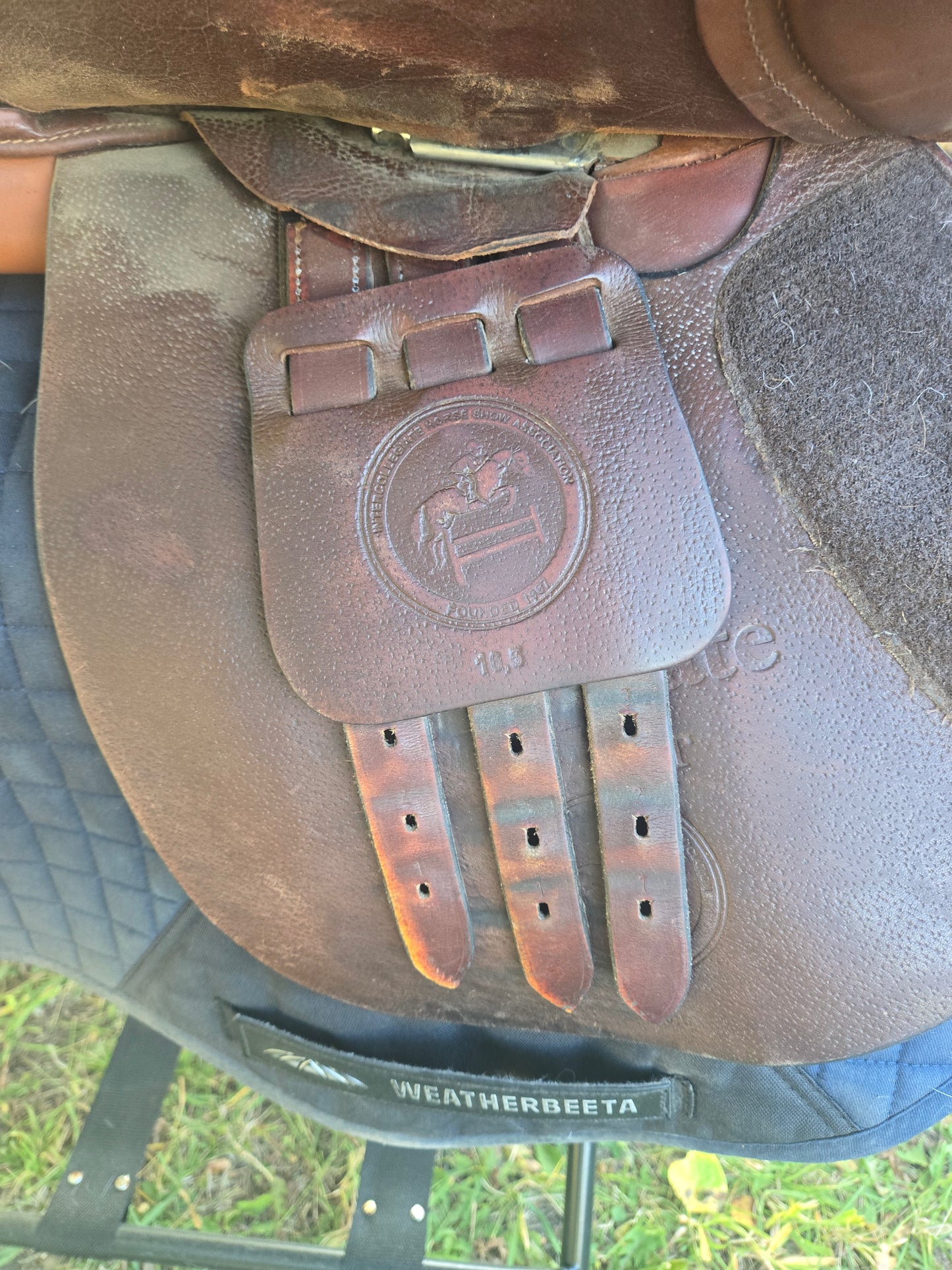 Used | Collegiate 16.5" All-Purpose English Saddle |Narrow Tree