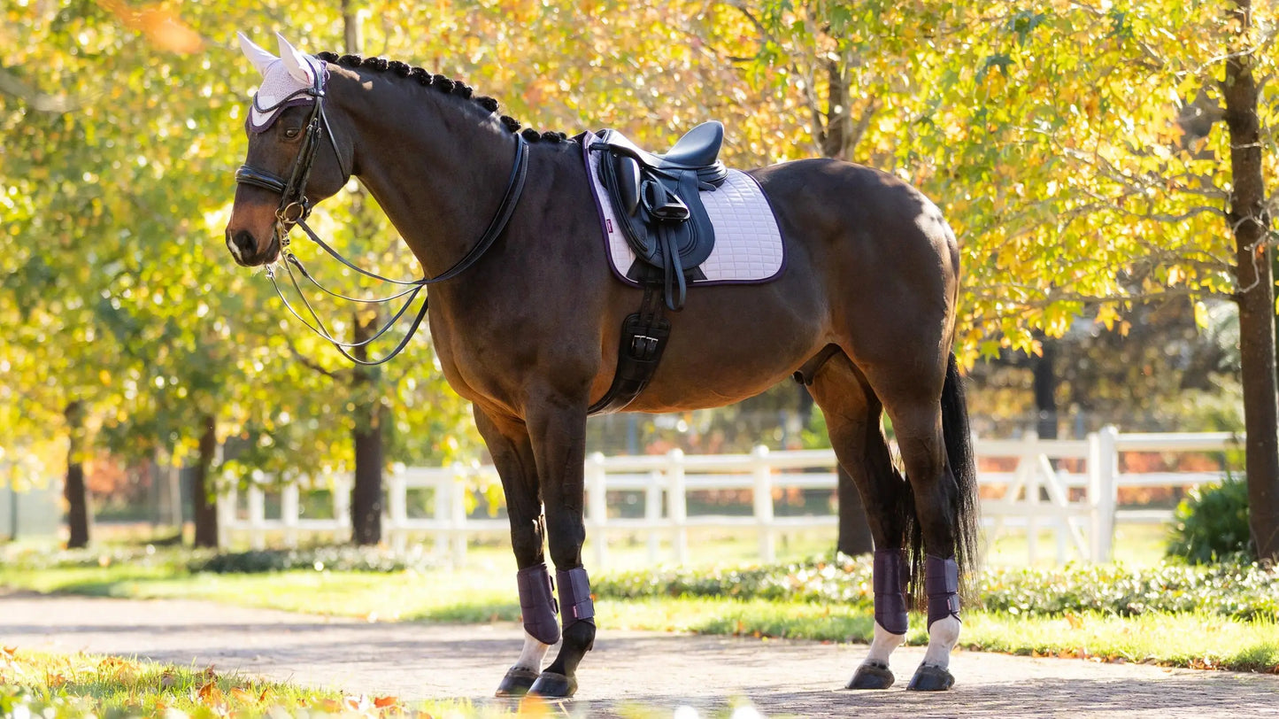 LeMieux Suede Dressage Saddle Pad - Lilac
