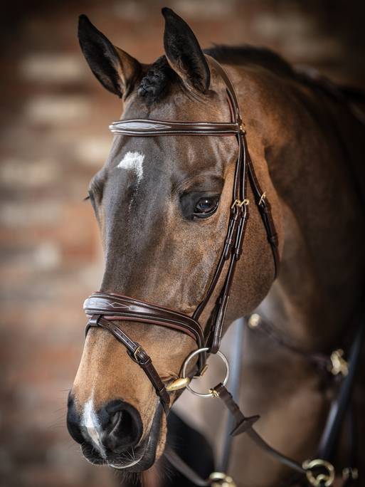 LeMieux Kudos Competition Flash Bridle - Havana