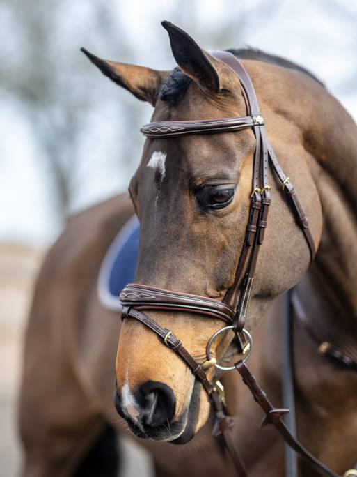 LeMieux Kudos Competition Flash Bridle - Havana