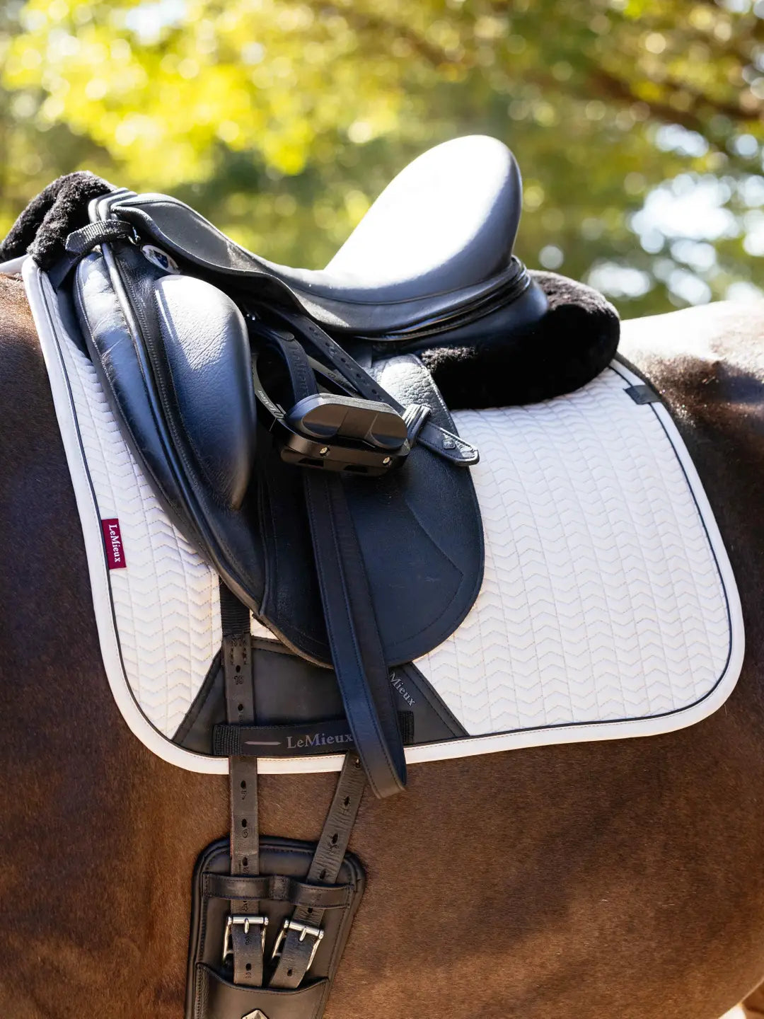 LeMieux Essence Dressage Pad Set - Stone