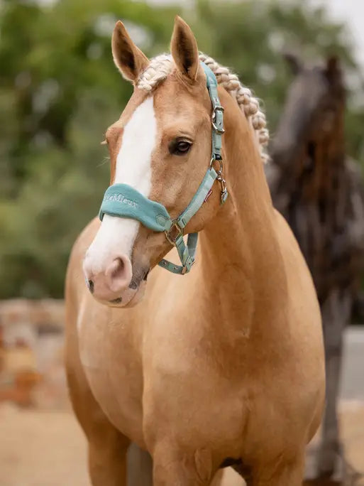 LeMieux Vogue Headcollar & Leadrope - Lagoon