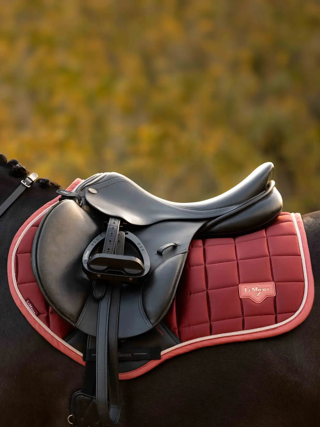 LeMieux Loire Classic Close Contact Pad | Russet
