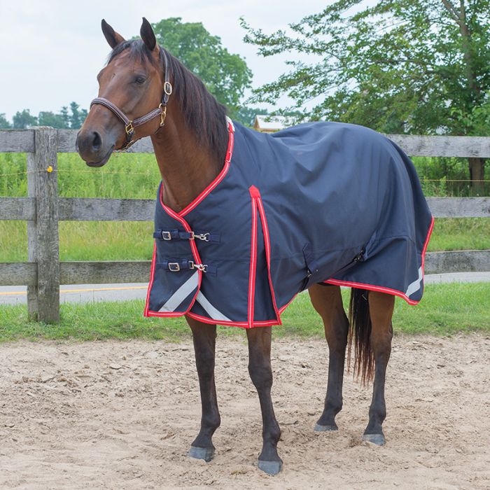 Canadian Horsewear MONARCH Diablo Turnout 300 gm