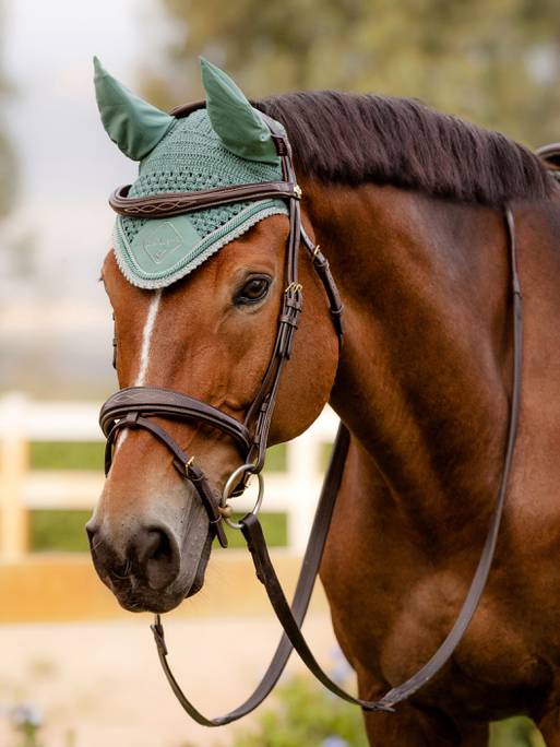 Classic Fly Hood  - Sage