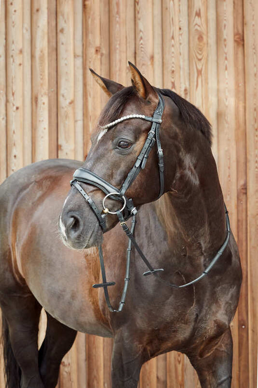 Horze Somerset Anatomic Bridle -  Brown
