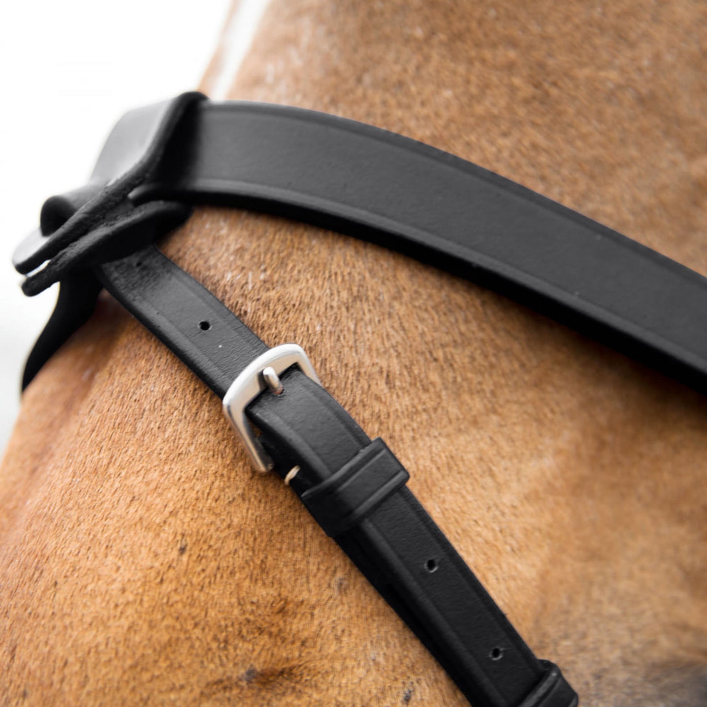 Horze Sparta Hunter Bridle