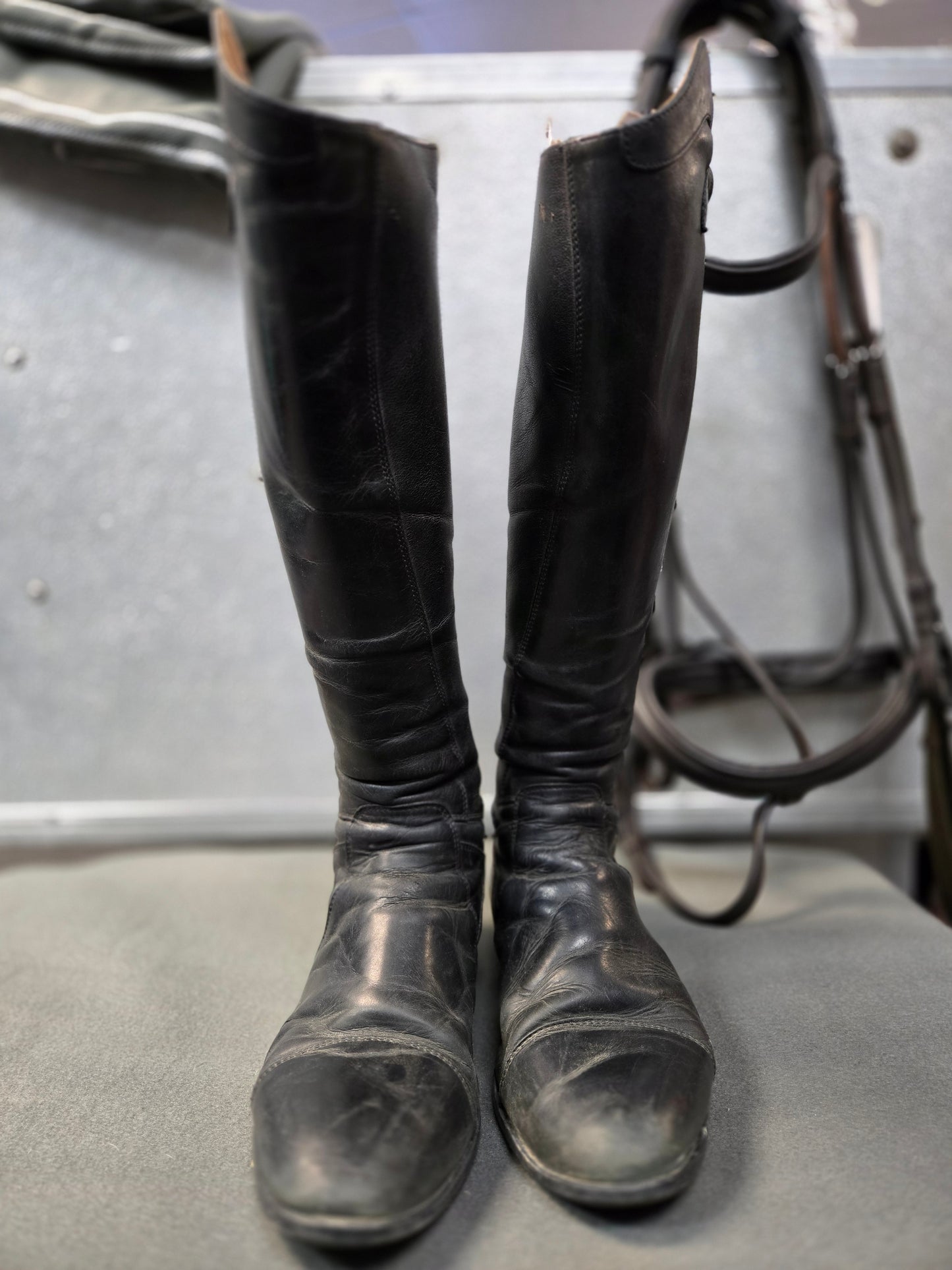 EGO7 -  Ladies Tall Field riding Boot - Used