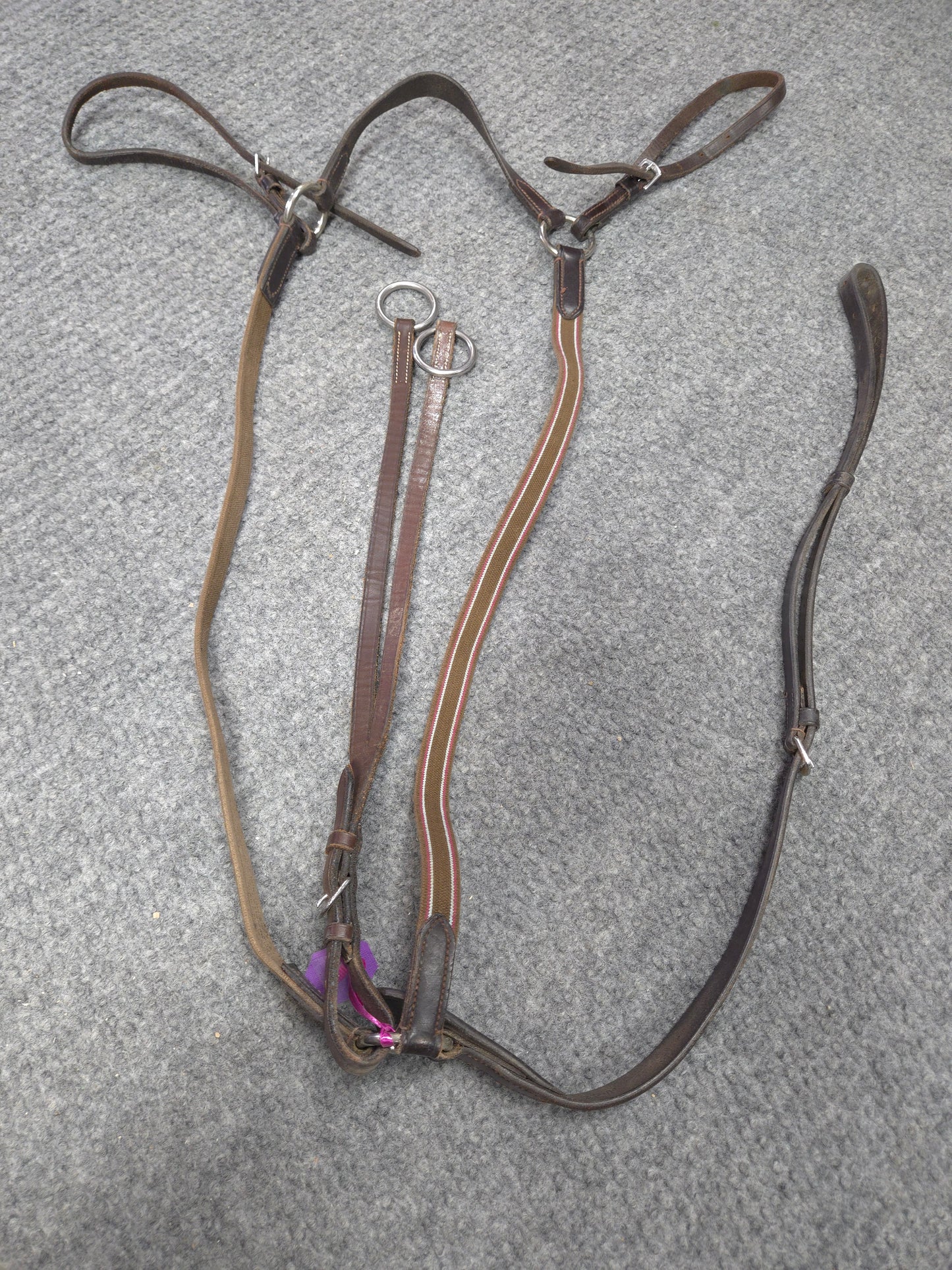 Used Elastic Running Martingale