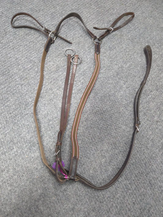 Used Elastic Running Martingale