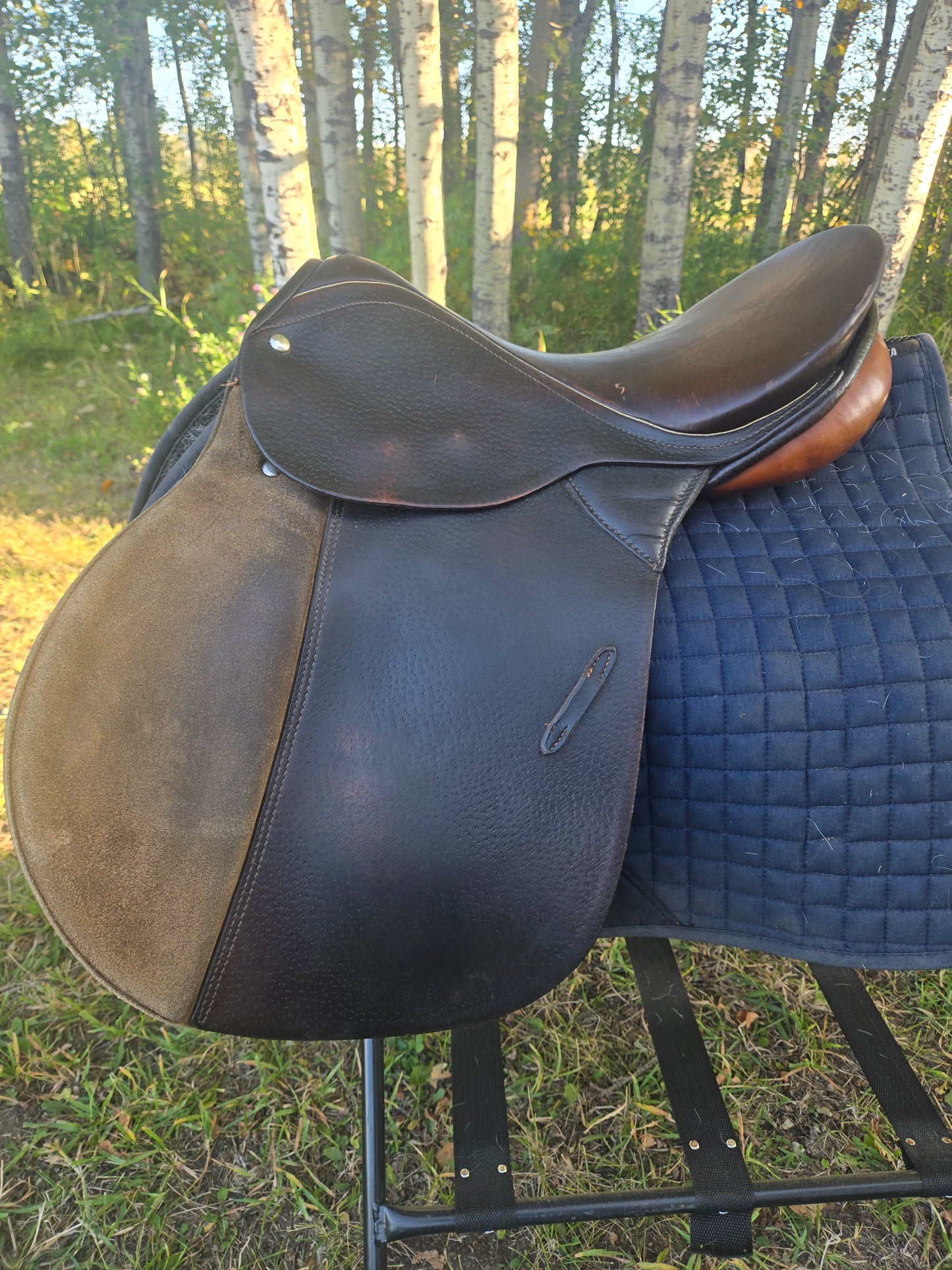 Don Rodrigo AP English Saddle| Used