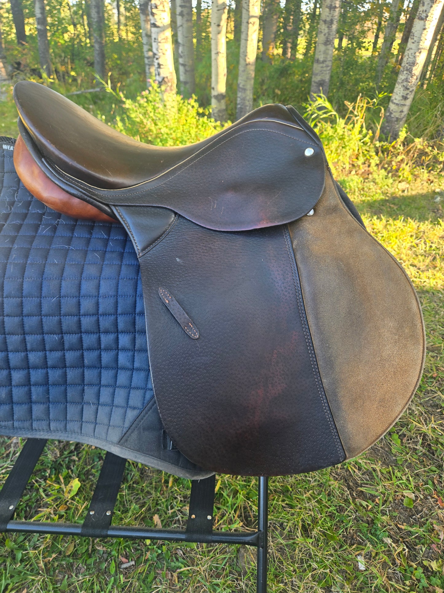 Don Rodrigo AP English Saddle| Used
