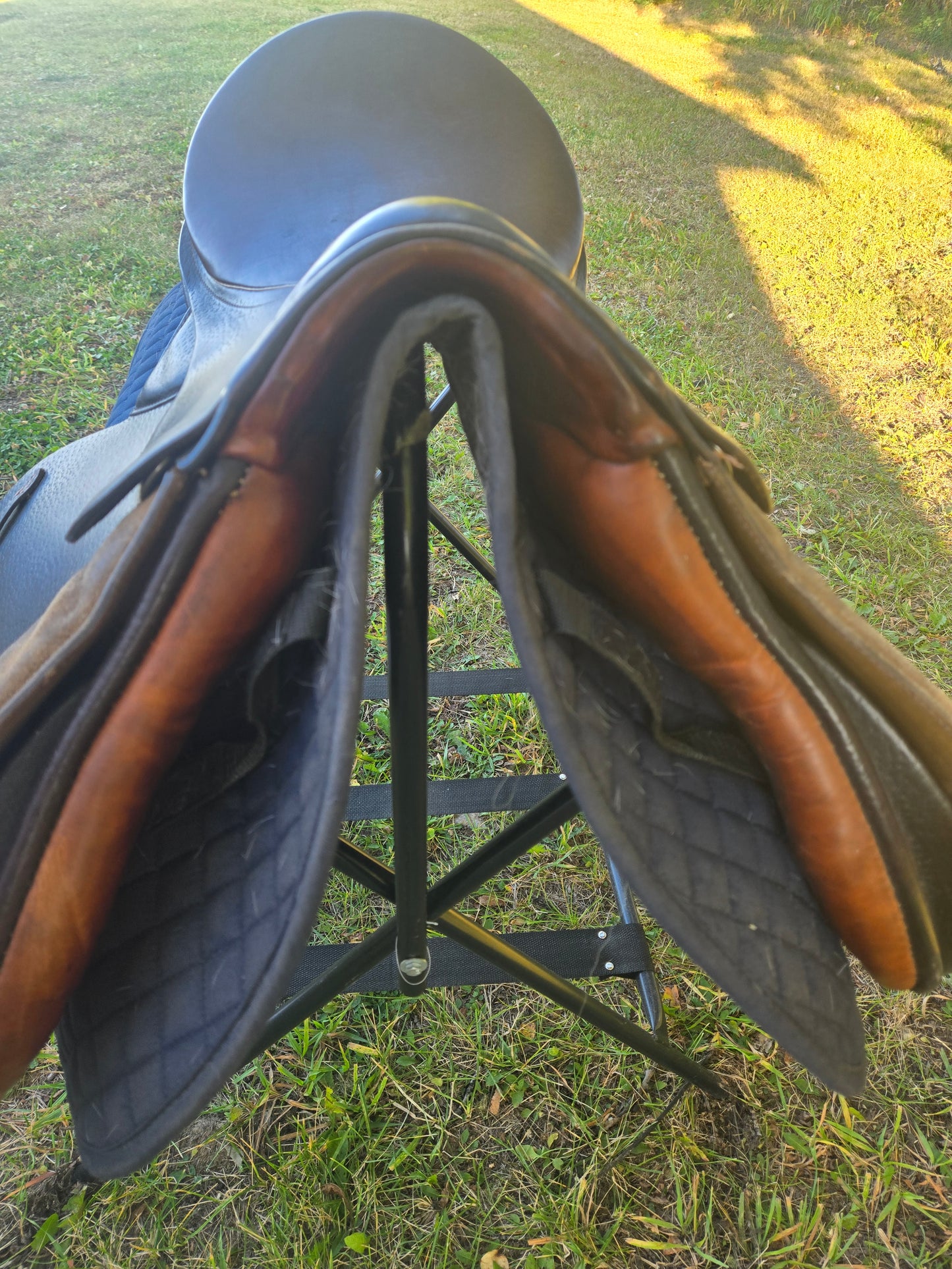 Don Rodrigo AP English Saddle| Used