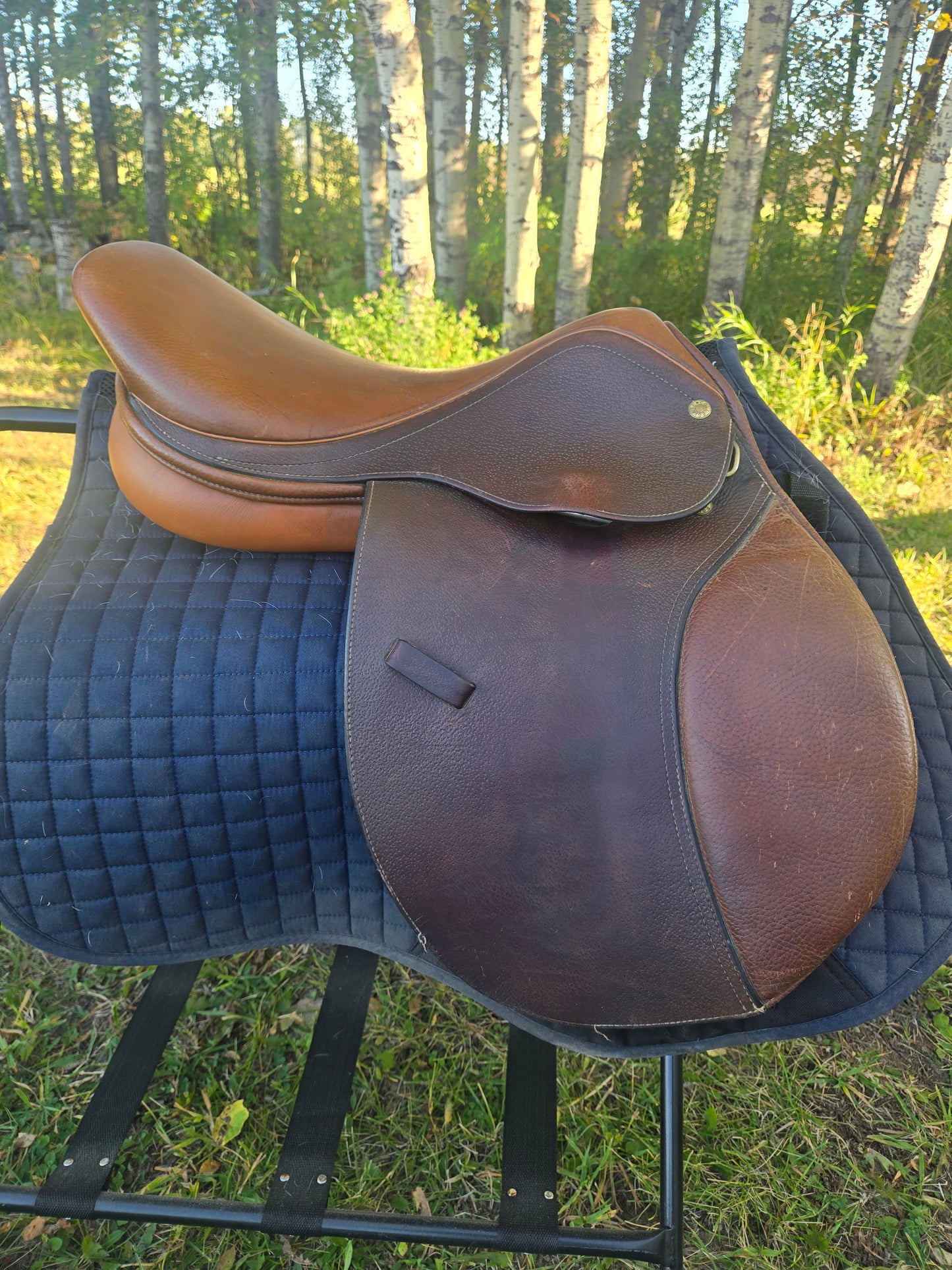 Used | Collegiate 16.5" All-Purpose English Saddle |Narrow Tree