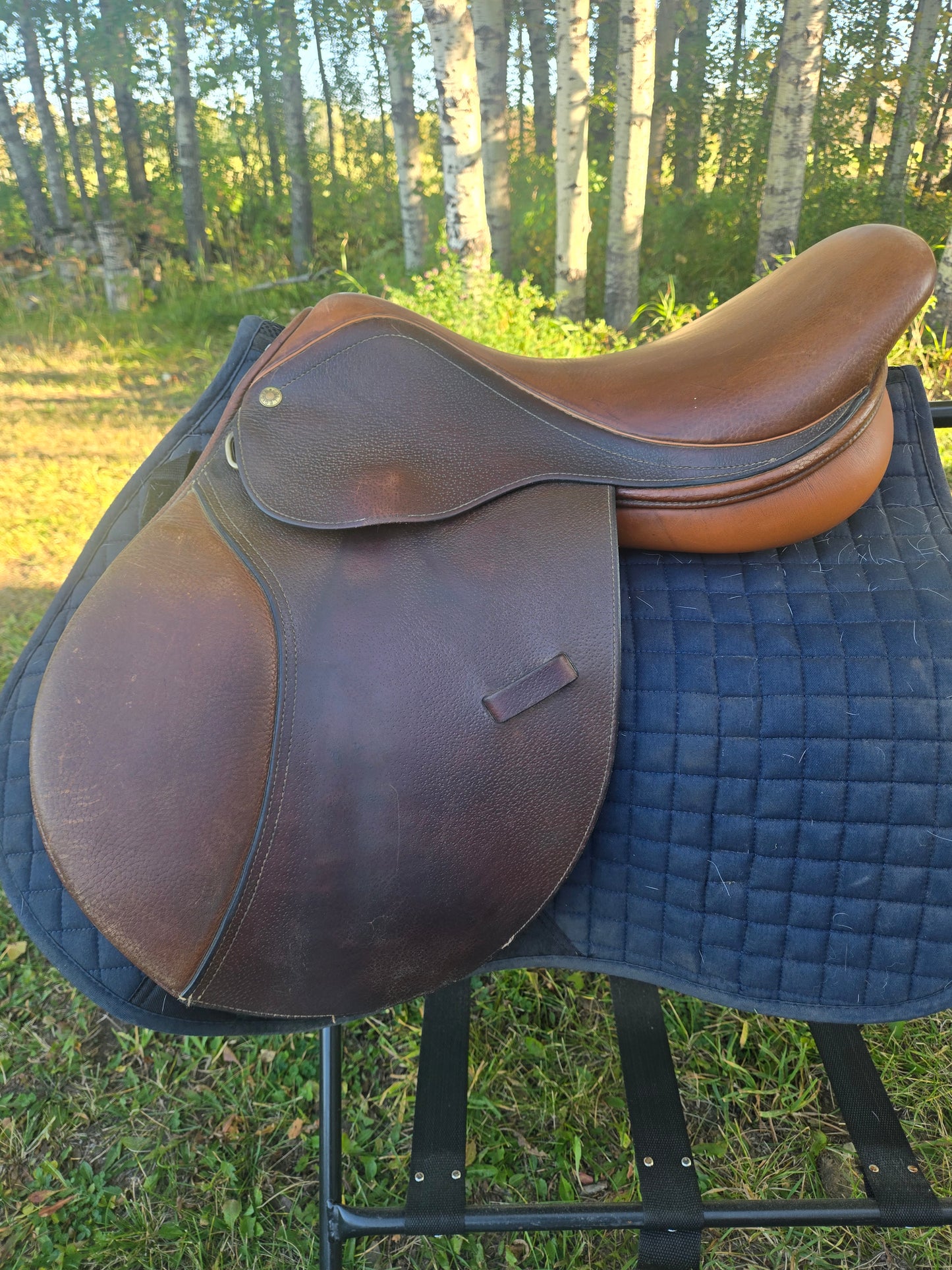 Used | Collegiate 16.5" All-Purpose English Saddle |Narrow Tree