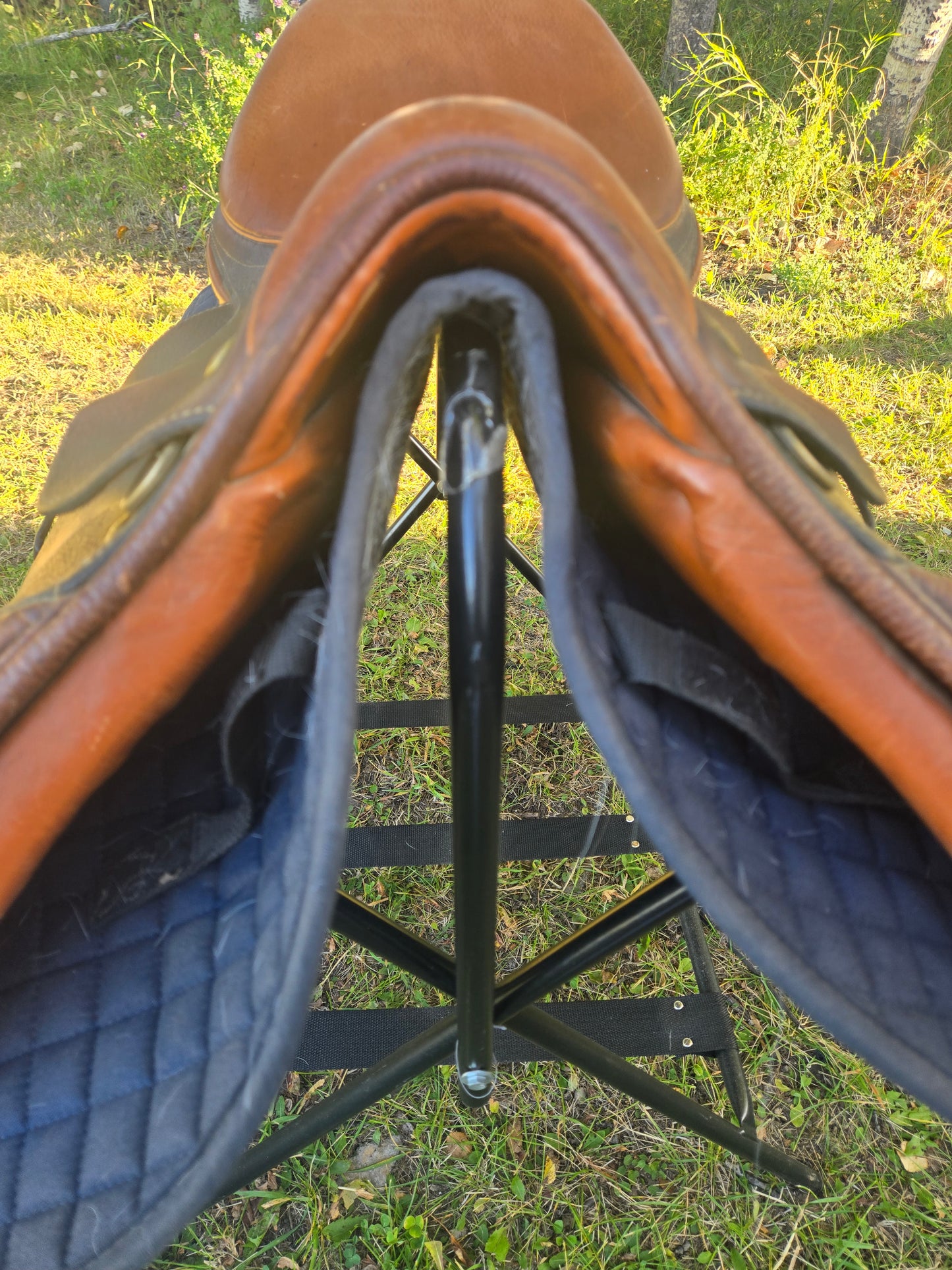 Used | Collegiate 16.5" All-Purpose English Saddle |Narrow Tree