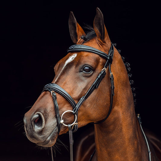 Horze Sion Bridle with Reins - Cob Size