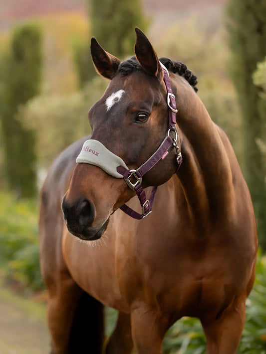 Vogue Headcollar & Leadrope -  Damson