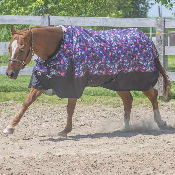 Canadian Horsewear Dreamcoat Diablo Turnout 300gm