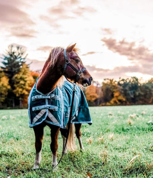 Canadian Horsewear Fenway Turnout 300gm