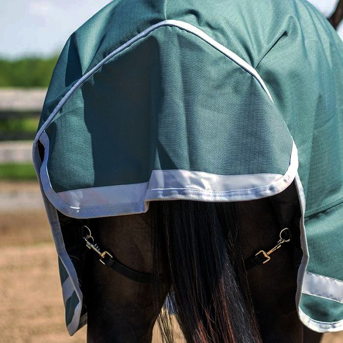 Canadian Horsewear Fenway Turnout 300gm