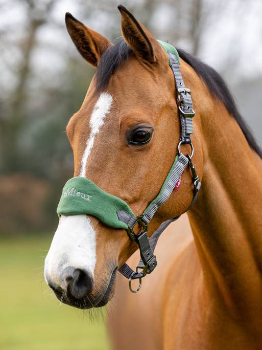 LeMieux Vogue Headcollar & Leadrope - Hunter Green