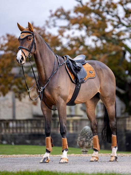 LeMieux Loire Classic GP Saddle Pad - Ginger