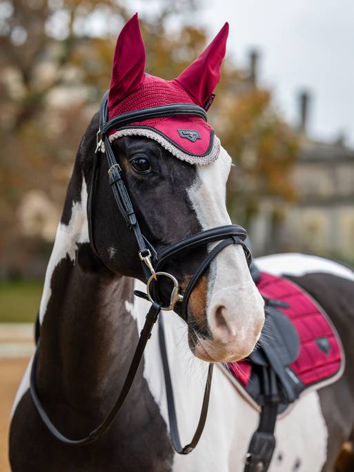 LeMieux Loire Fly Hood -  Ember