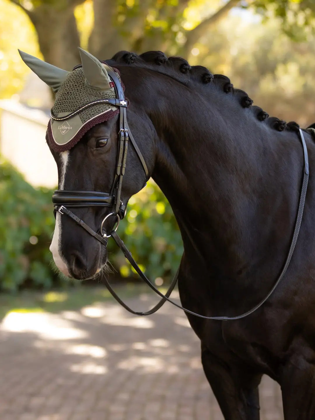 LeMieux Classic Fly Hood - Rosemary