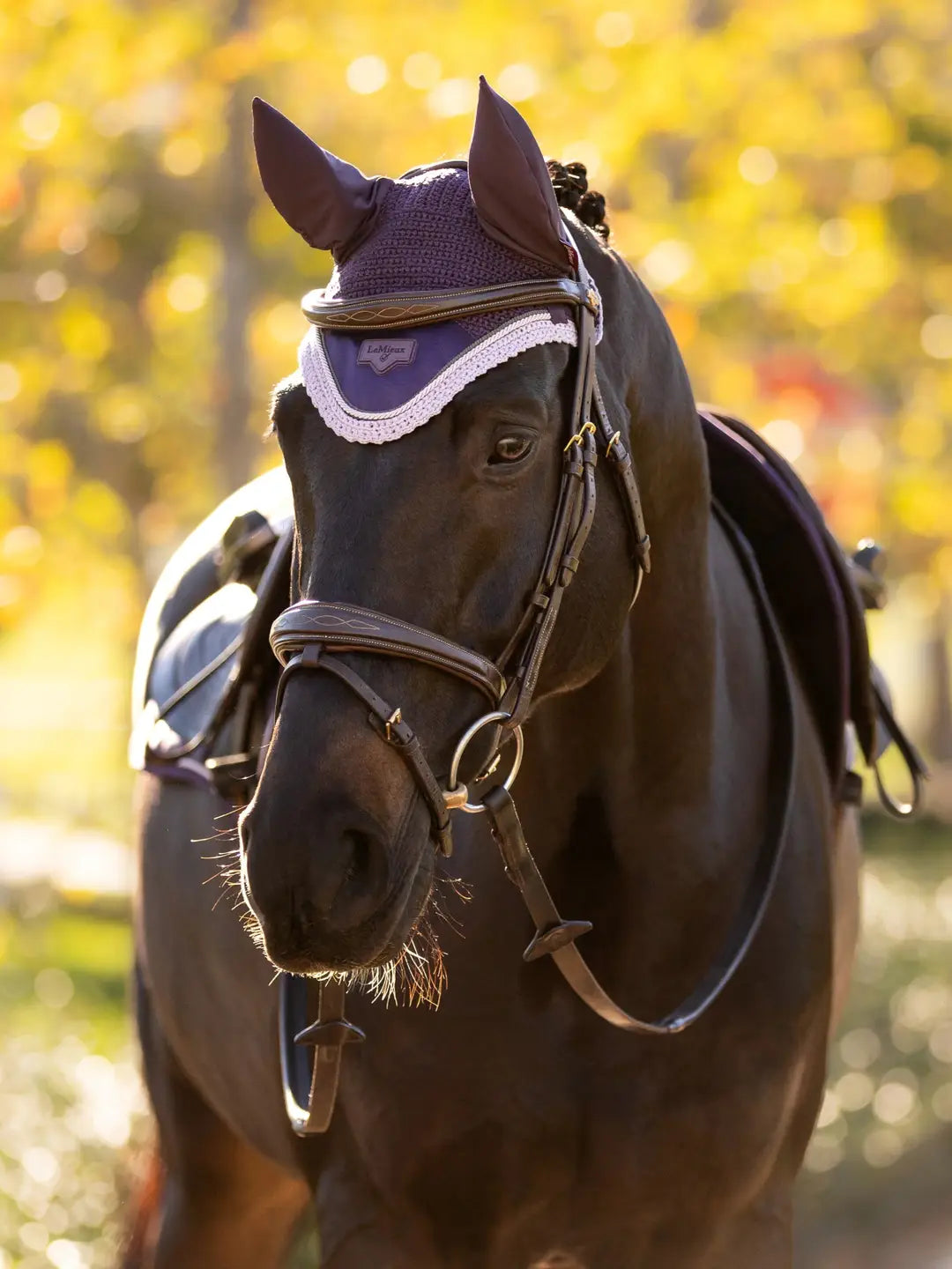 LeMieux Loire Fly Hood- Juniper