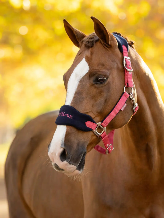 Vogue Headcollar & Leadrope -  Cranberry