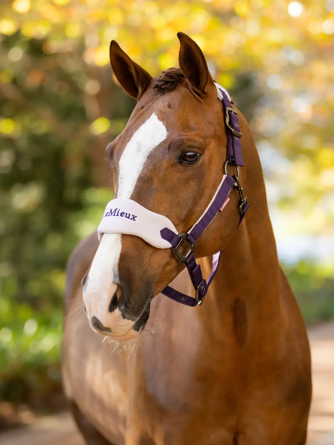 Vogue Headcollar & Leadrope | Juniper