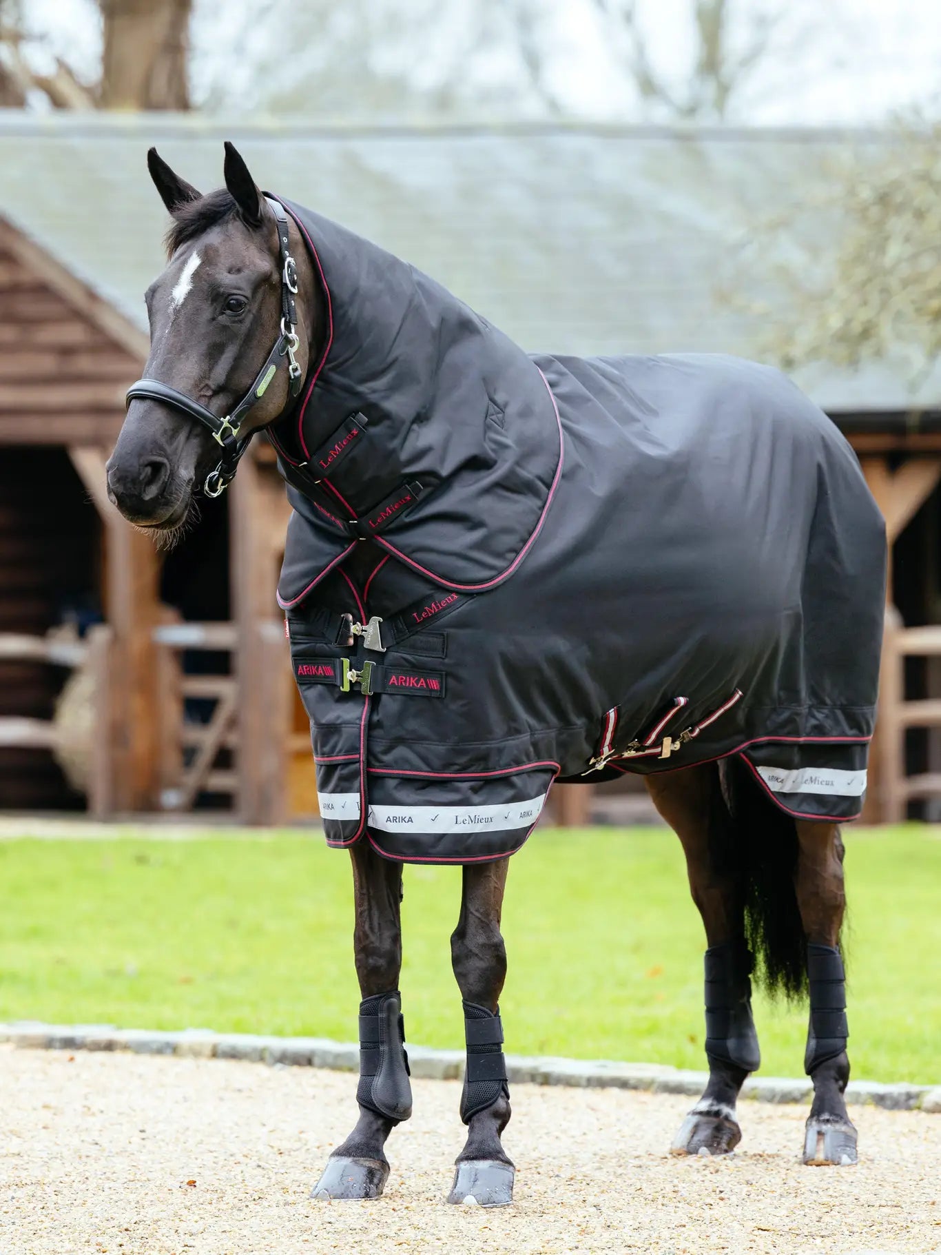 LeMieux Kudos Turnout Rug 350g l Navy