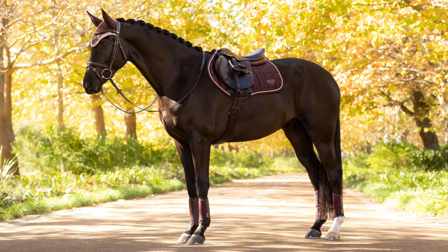 LeMieux Loire Close Contact Saddle Pad - Damson