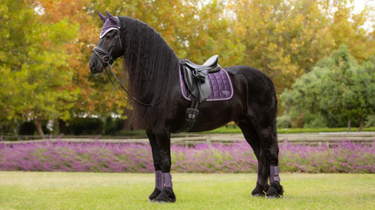 LeMieux Loire Dressage Saddle Pad - Juniper