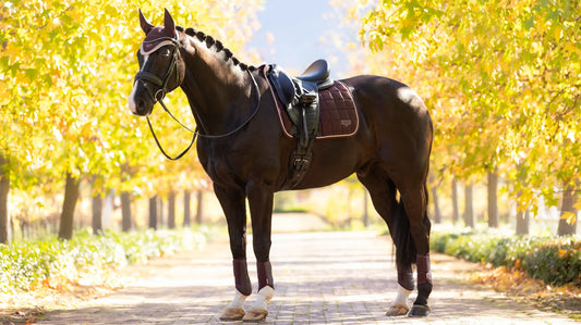 LeMieux Loire Dressage Saddle Pad -  Damson