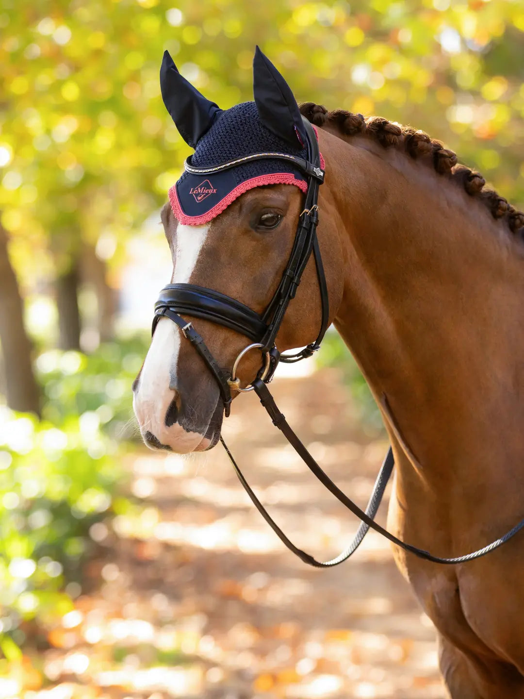 LeMieux Classic Fly Hood | Navy/Cranberry