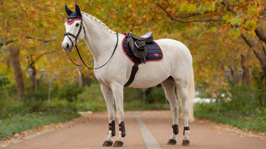 LeMieux Loire Close Contact Saddle Pad - Navy/Cranberry