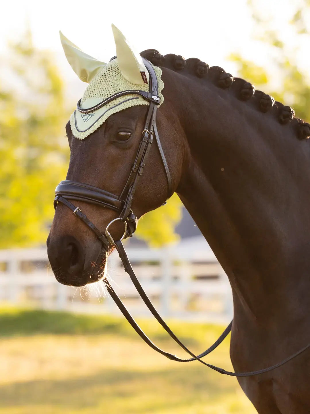 LeMieux Classic Fly Hood in Macaron featuring a hand-knitted crochet design, soft high density fabric ears, and signature braid detaining.