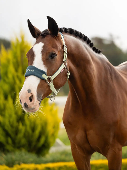 LeMieux Vogue Headcollar & Leadrope | Macaron
