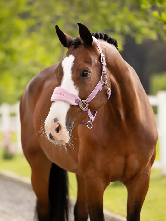 Lemieux vogue fleece headcollar in Mallow pink with soft padding and matching leadrope. 