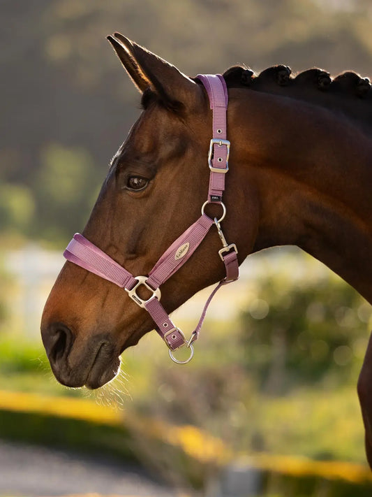 LeMieux Versailles Headcollar in mallow pink featuring soft fleece padding on the noseband and poll with high quality-metal fittings