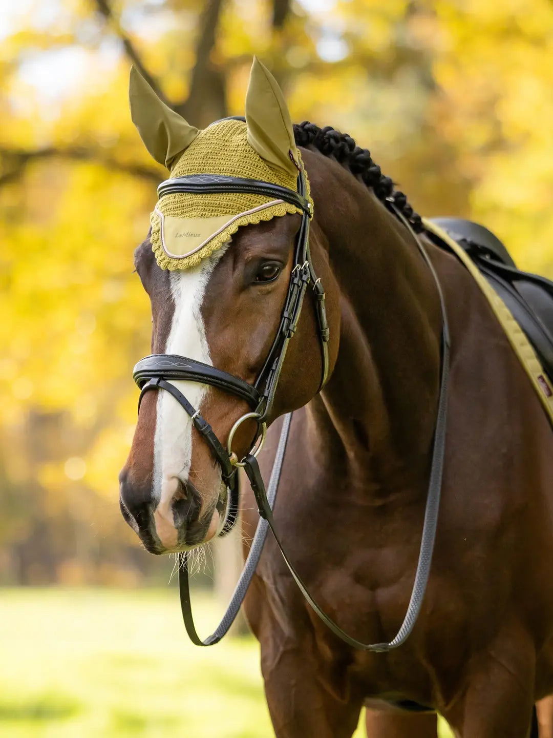 LeMieux Classic Fly Hood | Gooseberry
