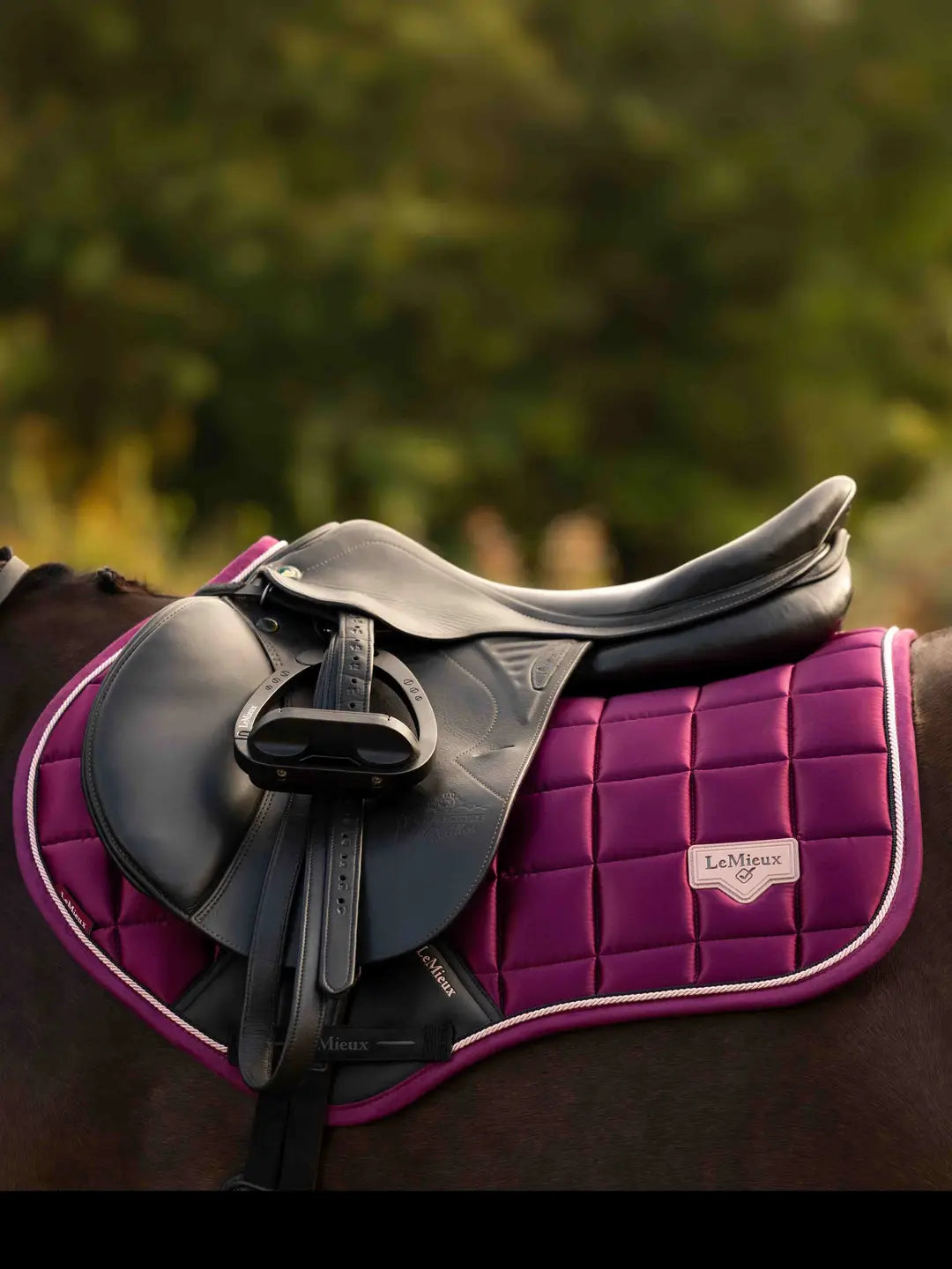 LeMieux Loire Classic Close Contact |Blackberry