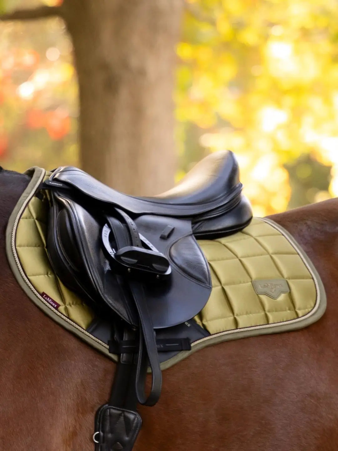 LeMieux Loire Classic Close Contact Pad |Gooseberry