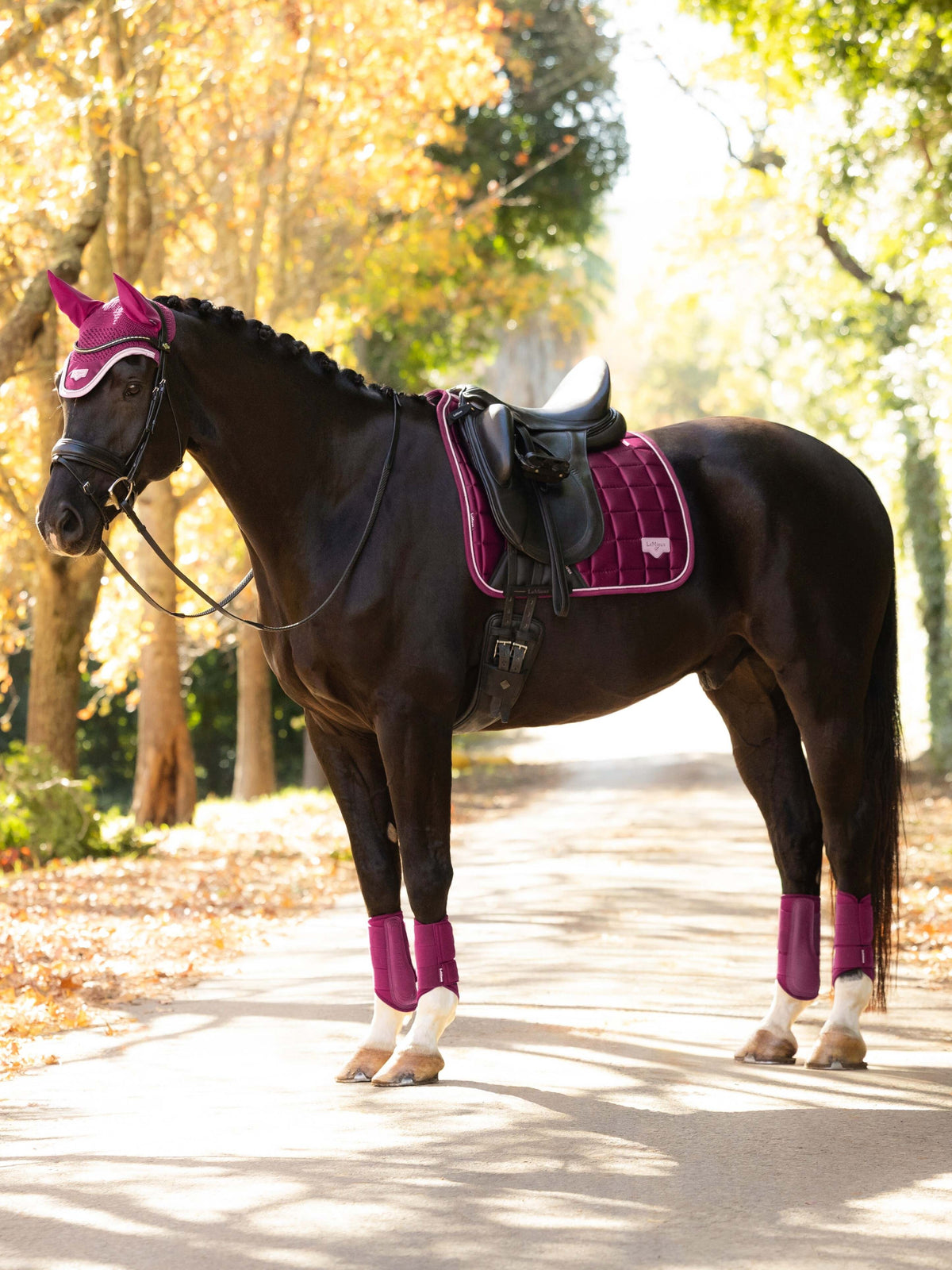 LeMieux Loire Dressage Pad | Blackberry