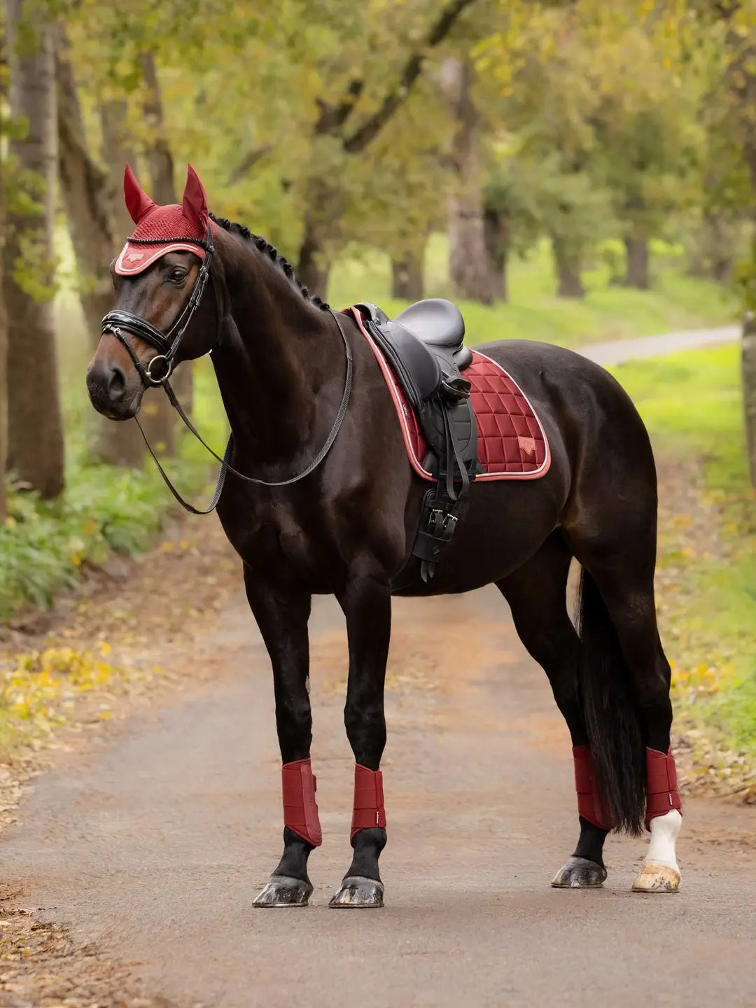 LeMieux Loire Dressage Square Saddle Pad | Russet