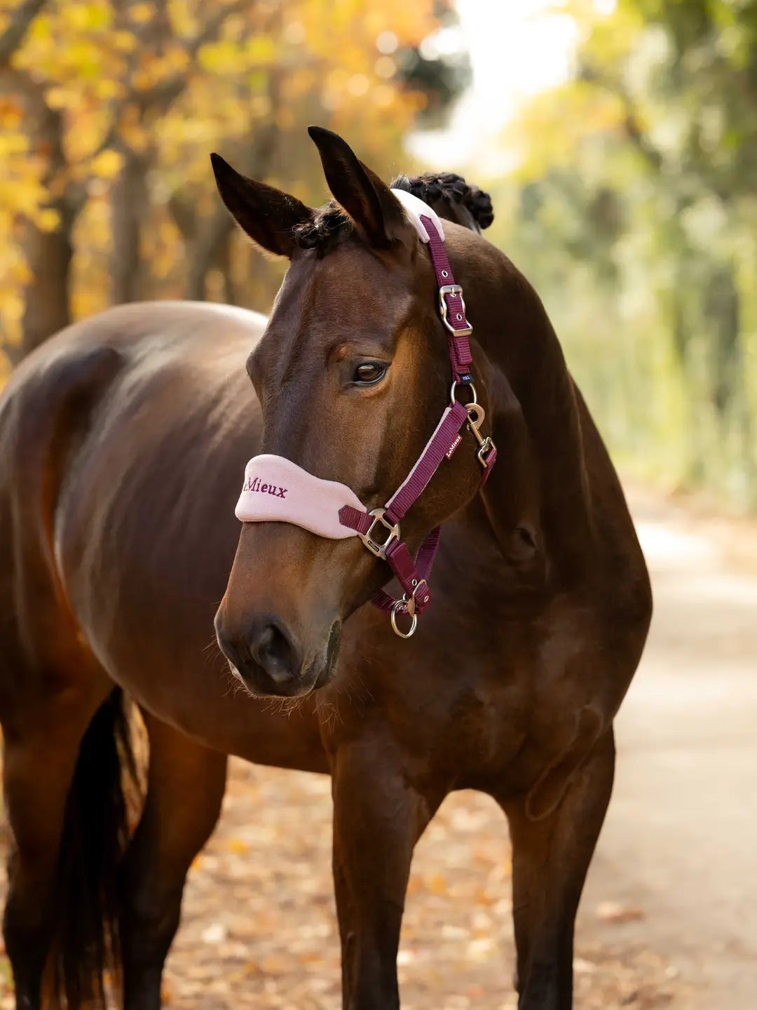 LeMieux Vogue Headcollar & Leadrope | Blackberry